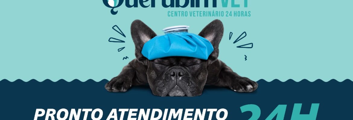 QUERUBIM VET – Centro Veterinário 24H